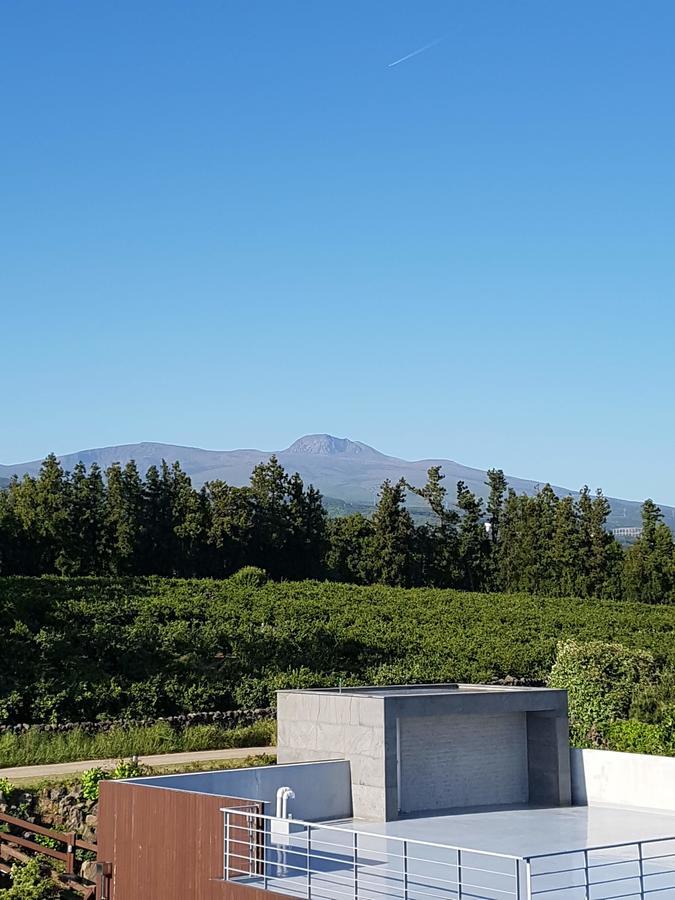 Jeju Eco Suites Seogwipo Exterior foto
