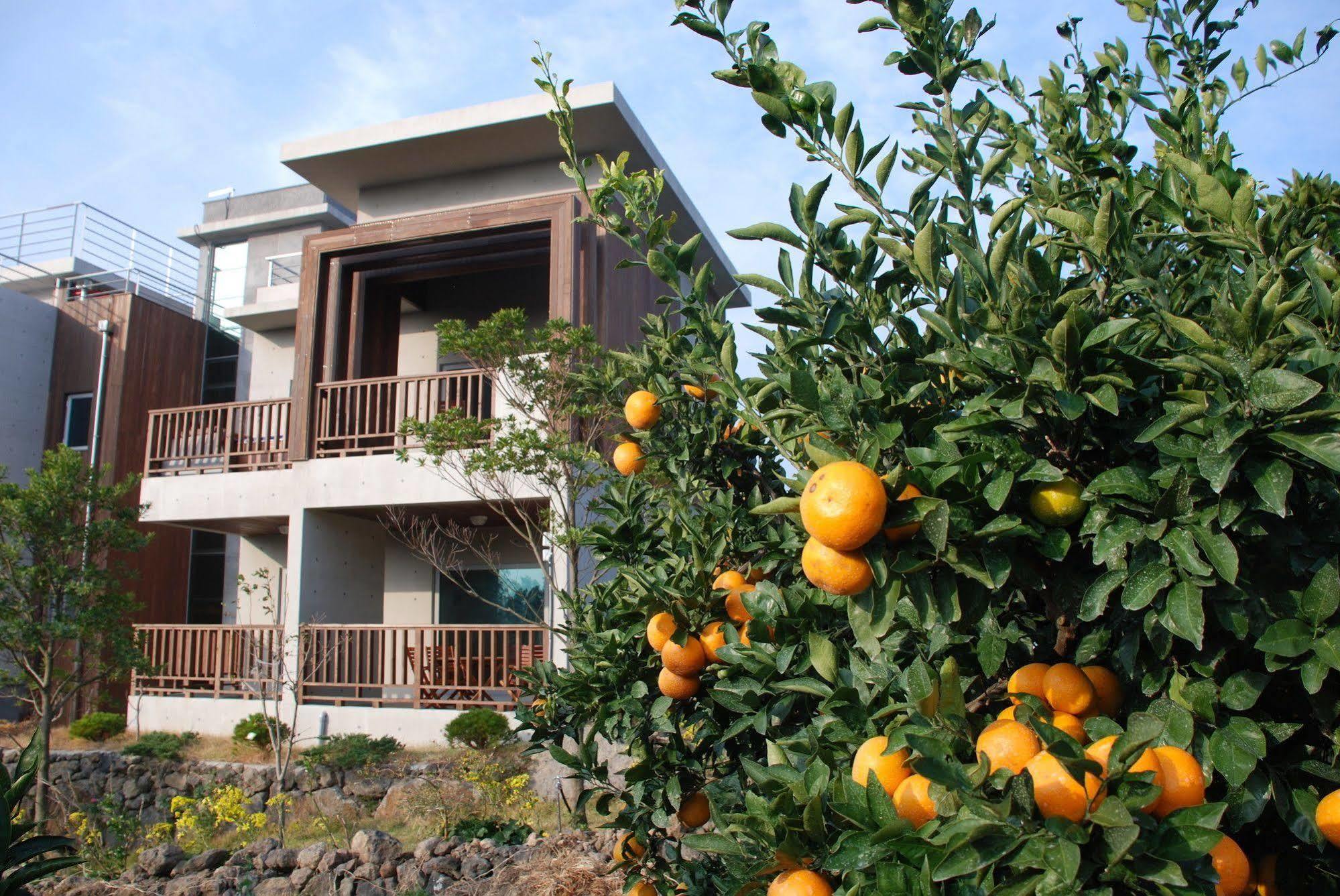 Jeju Eco Suites Seogwipo Exterior foto