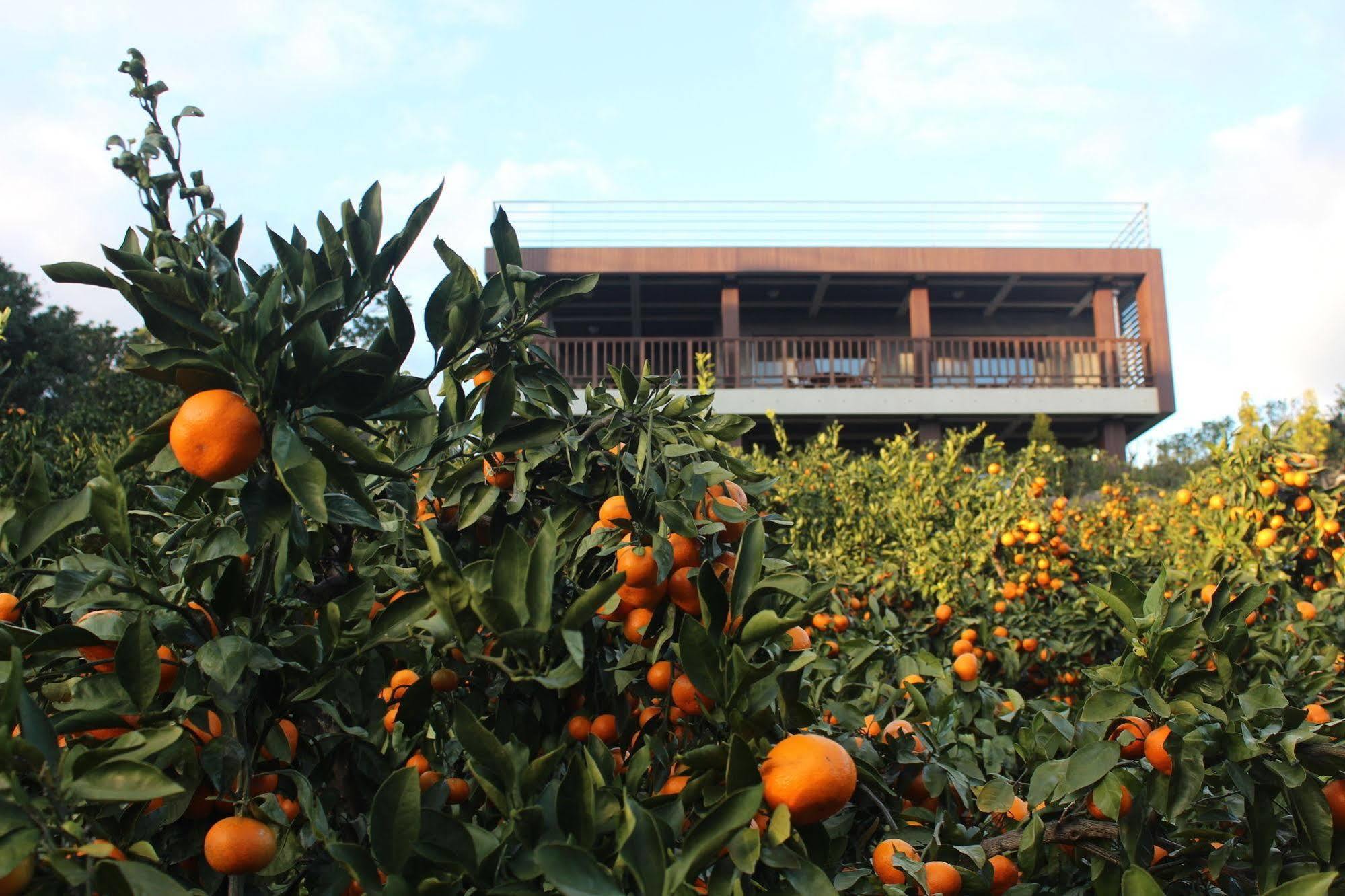 Jeju Eco Suites Seogwipo Exterior foto